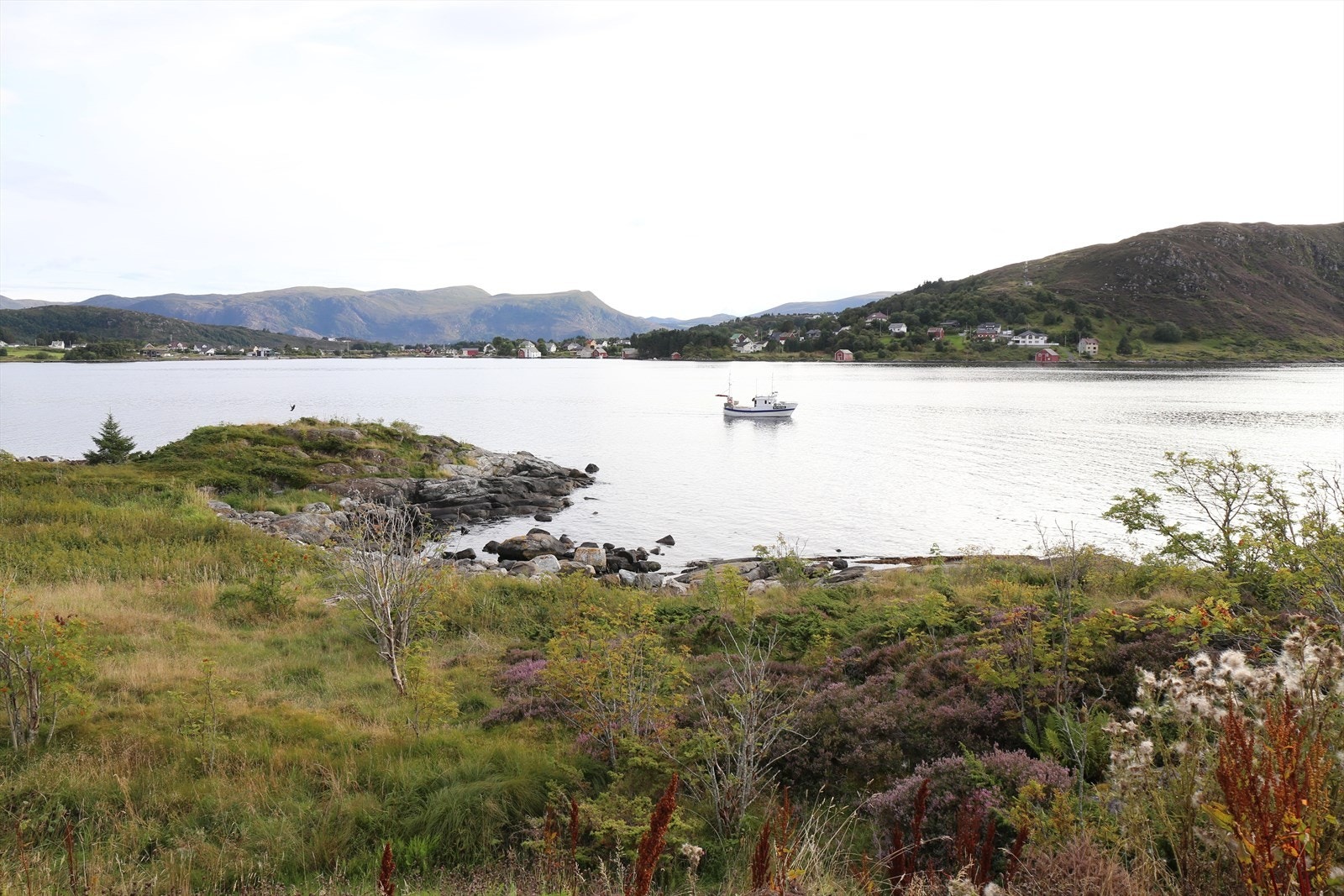 Vakre og naturskjønne omgivelser med gode solforhold | Foto: Selger Galleribilde