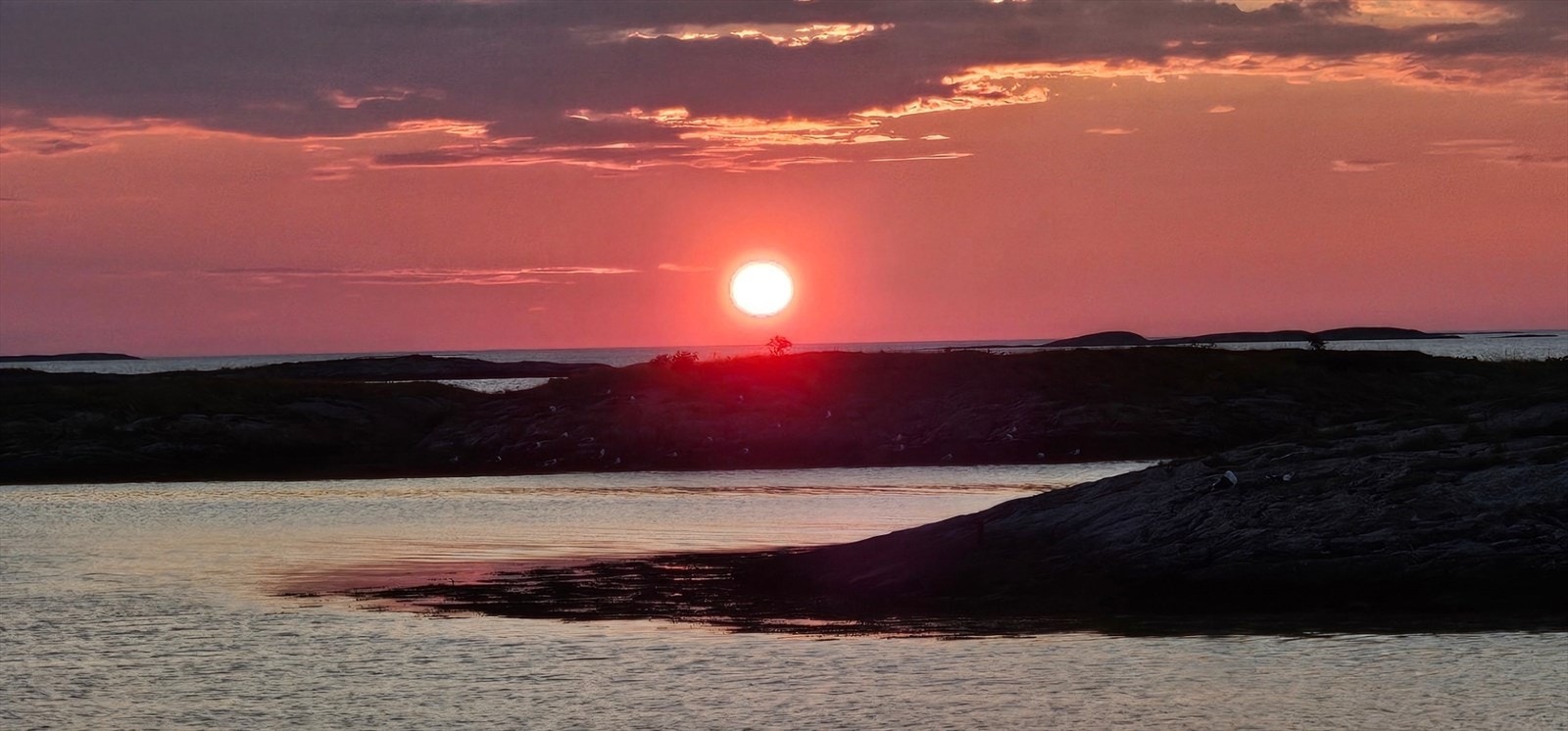 Selgers bilde. Galleribilde