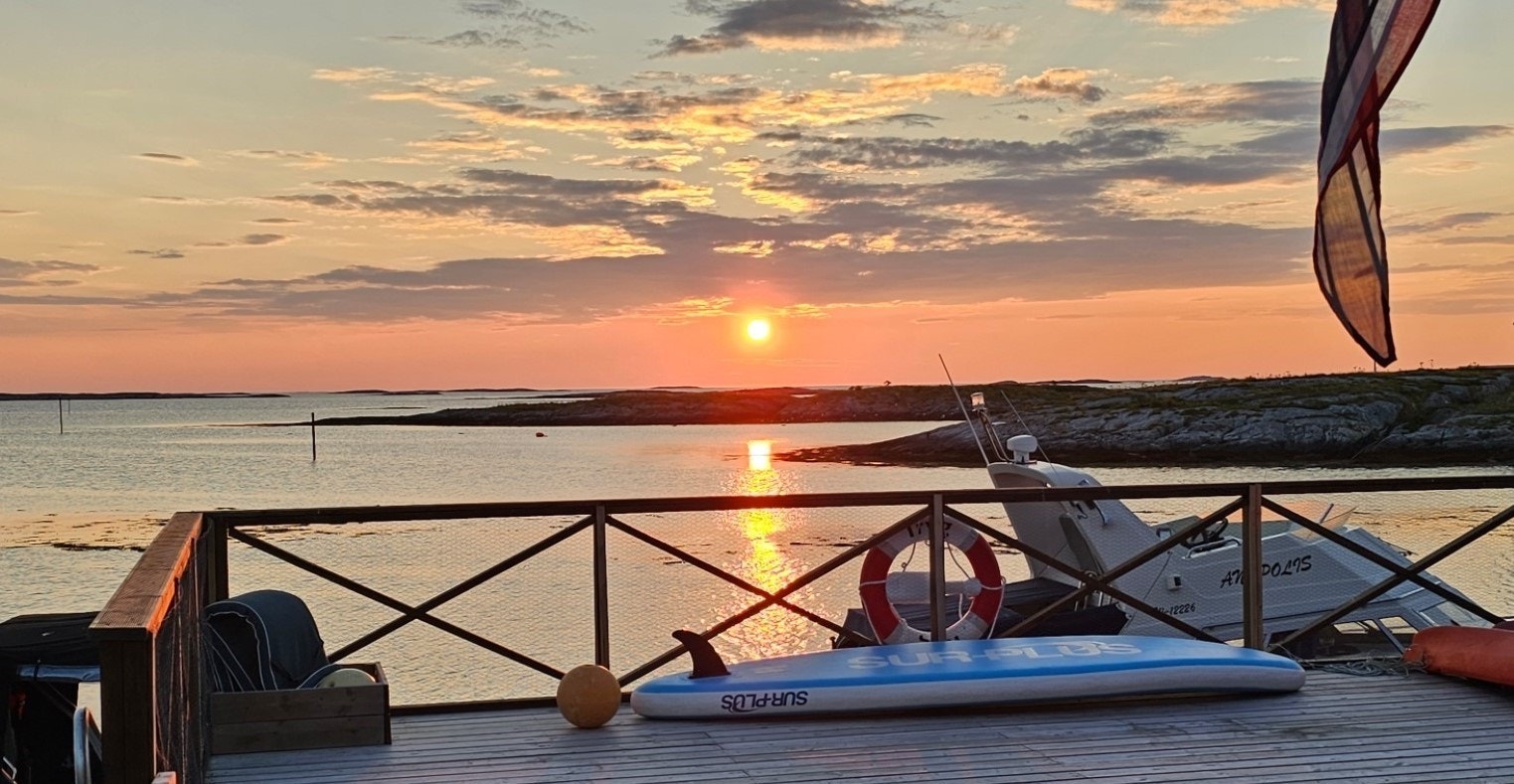 Selgers bilde. Galleribilde