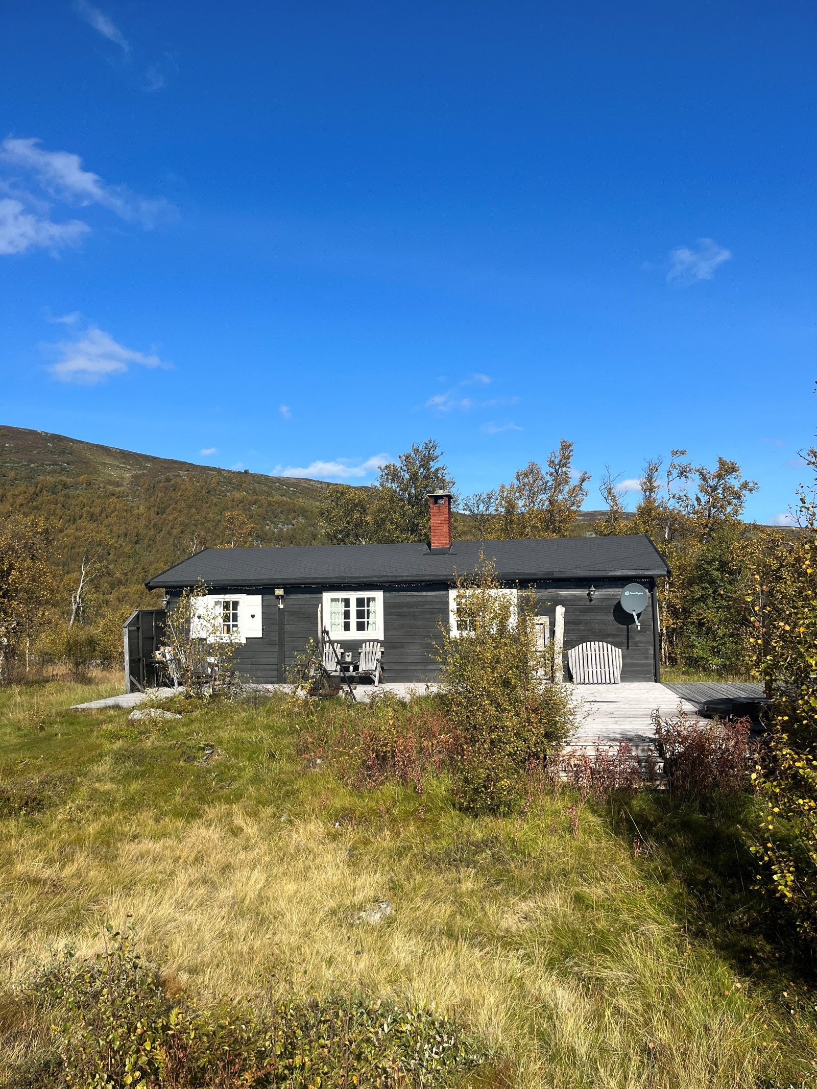 Stor, usjenert tomt Galleribilde