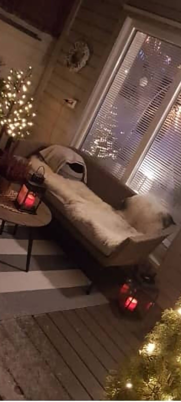 Screenshot_20231027_144109_Gallery.jpg Galleribilde