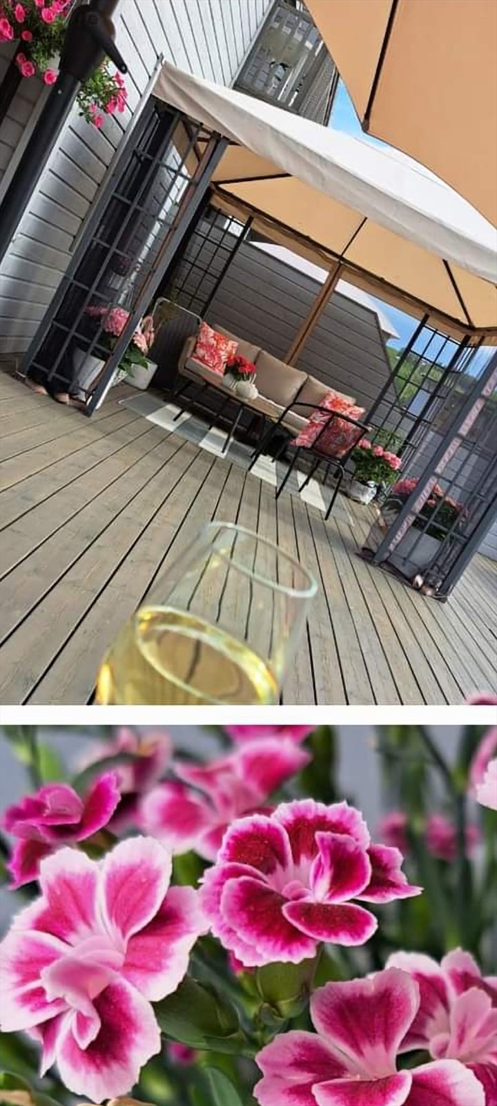 Screenshot_20230905_201827_Gallery.jpg Galleribilde