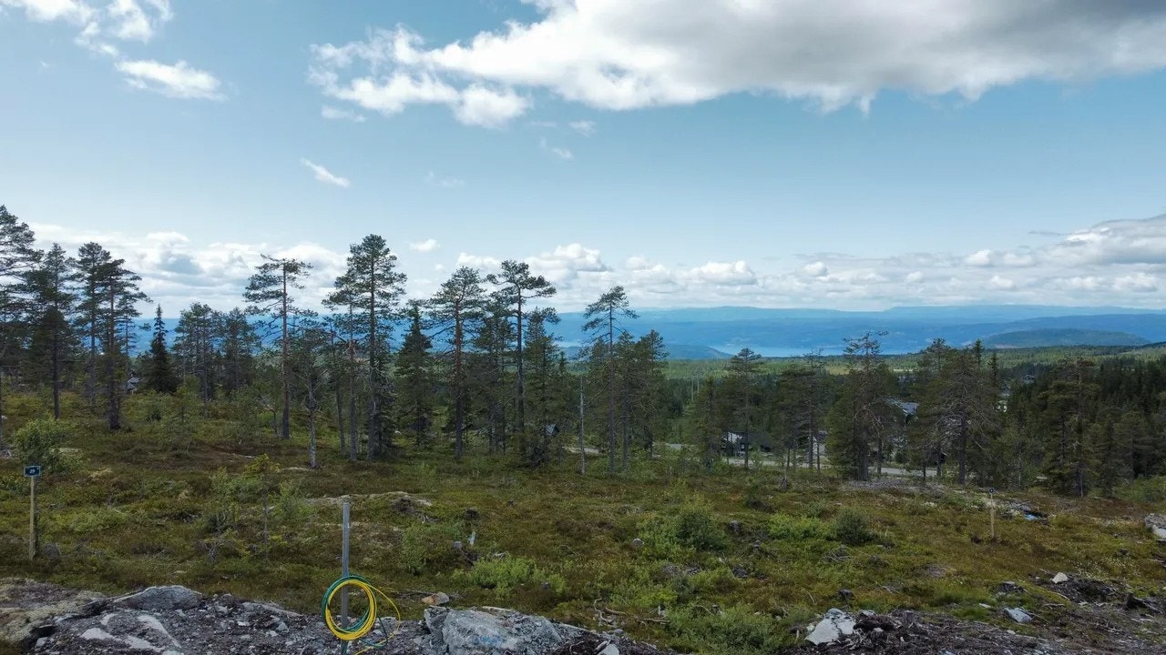 Bilde fra tometområdet, felt 5 på Lygna. Galleribilde