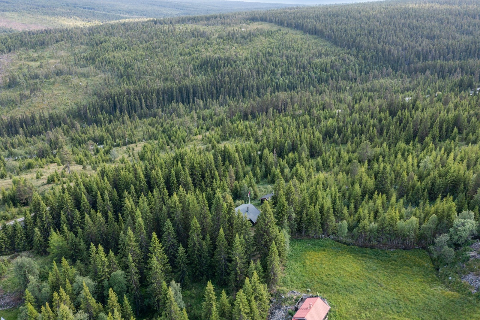 Oversiktsbilde Galleribilde