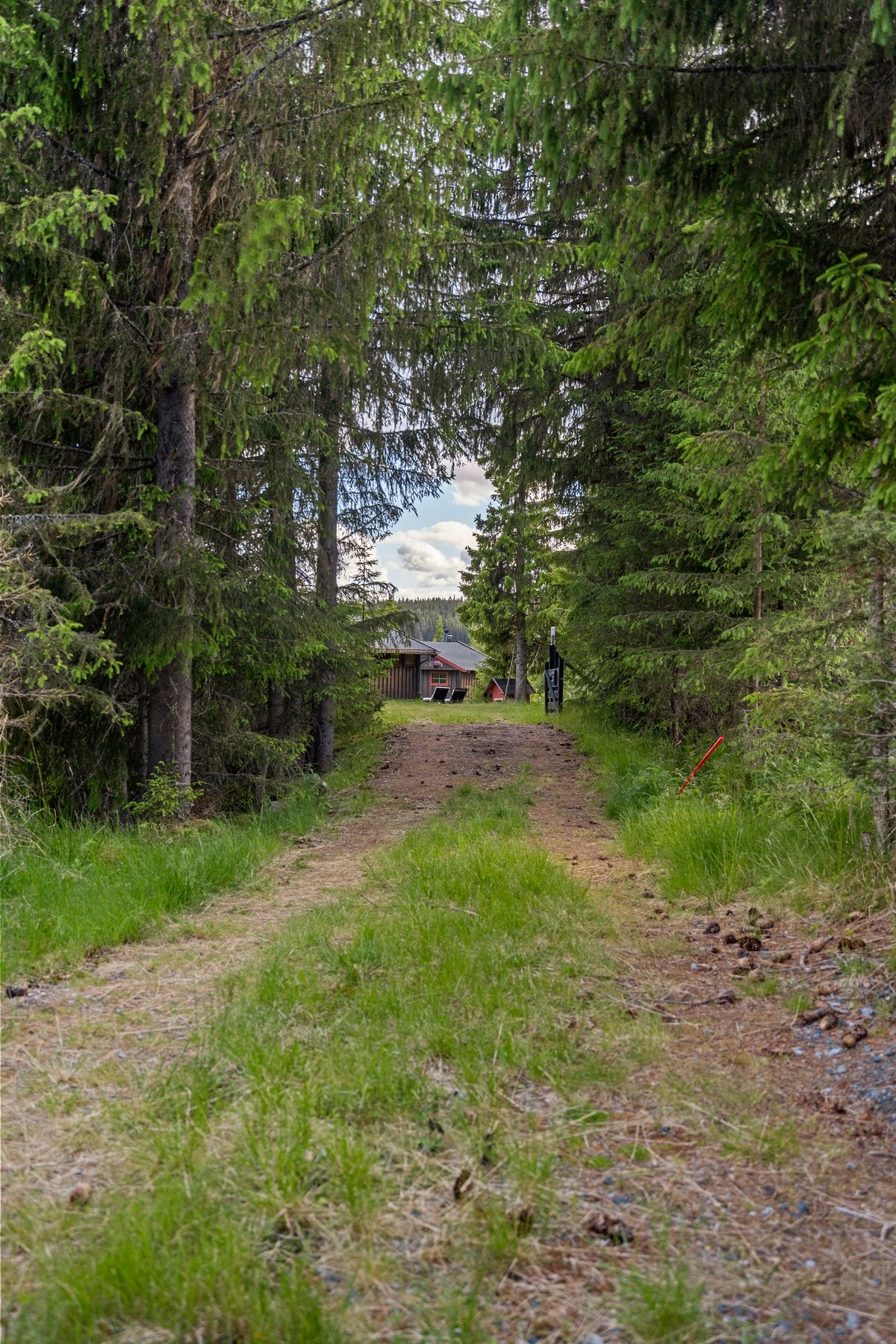 Den hyggelige innkjørselsen til tunet Galleribilde