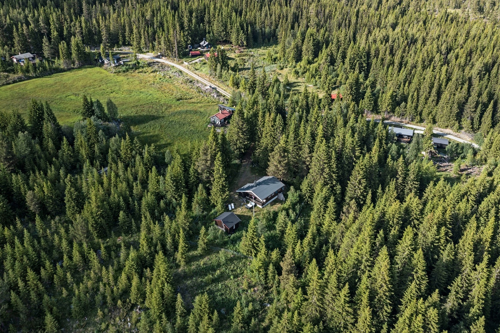 Oversiktsbilde Galleribilde