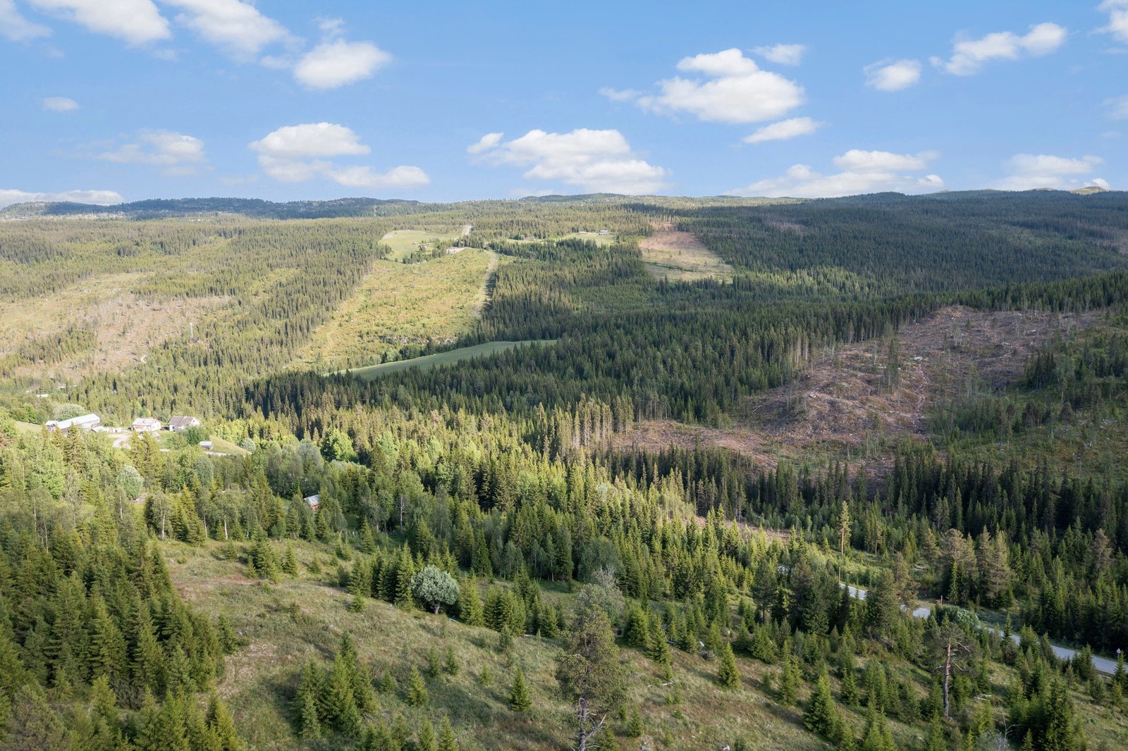 områdebilde Galleribilde