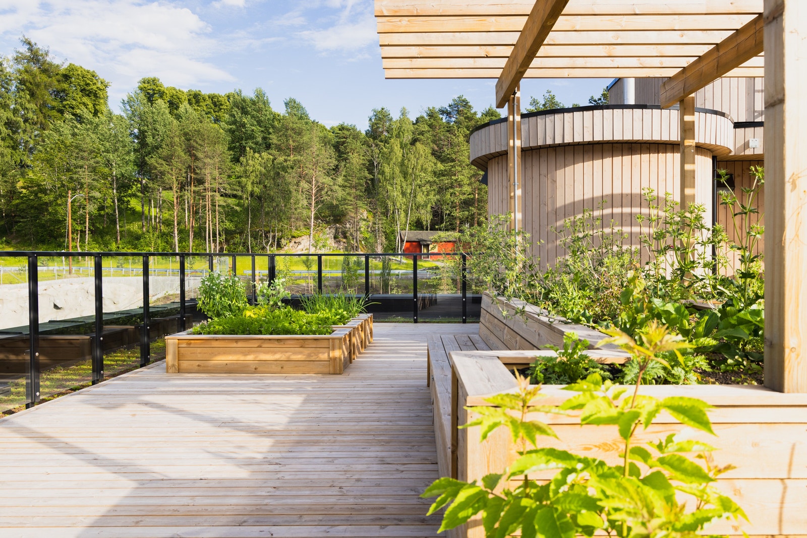 Det er flere dyrkekasser for de med grønne fingre Galleribilde