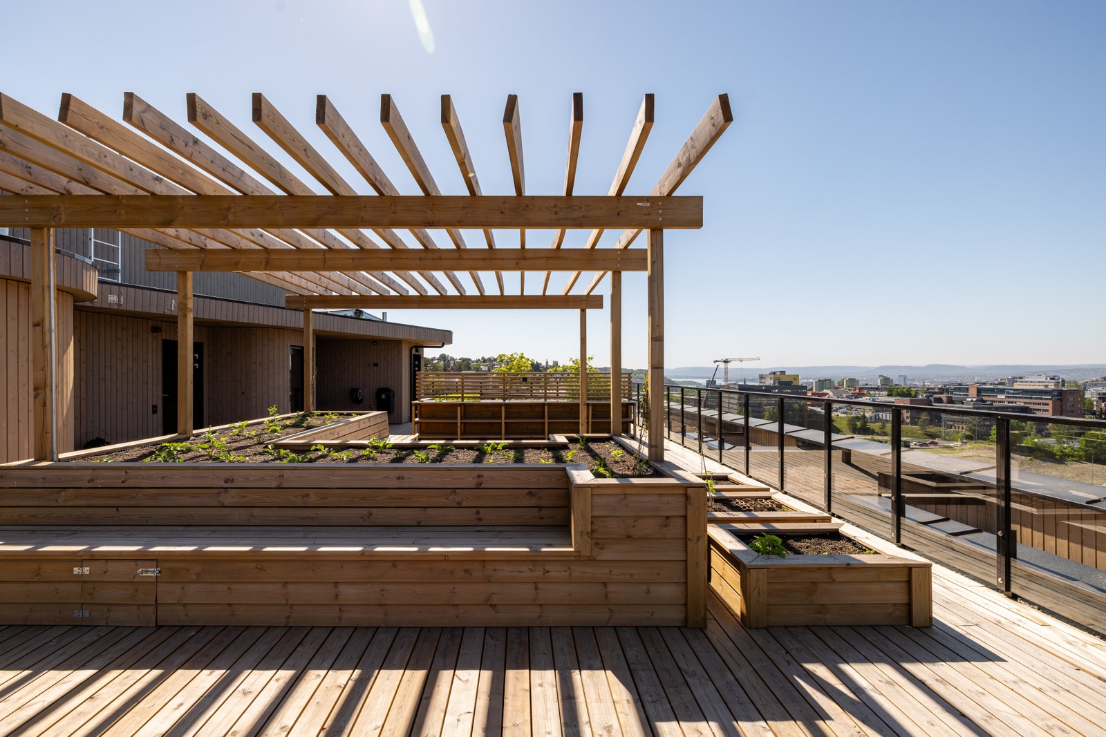 Byggene har til sammen fire takterrasser du kan bruke Galleribilde