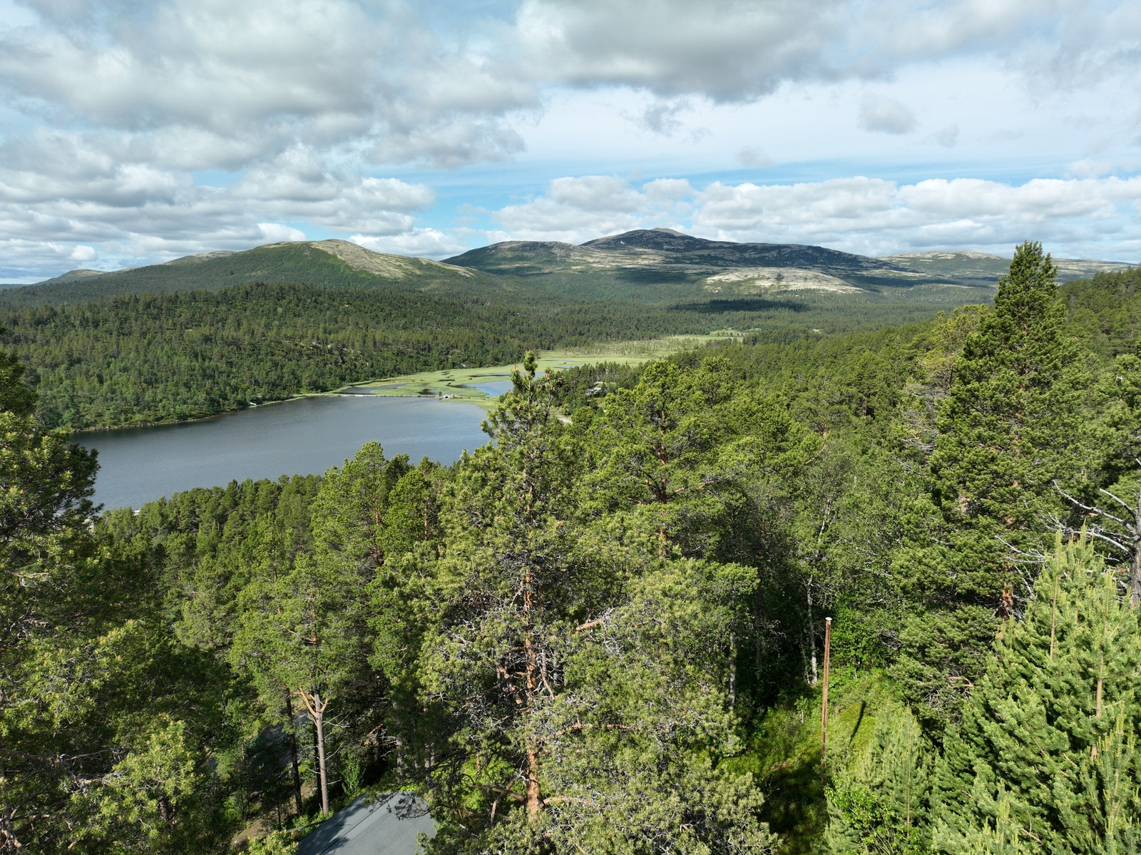 Rødalshøa ses fra tomten. Galleribilde