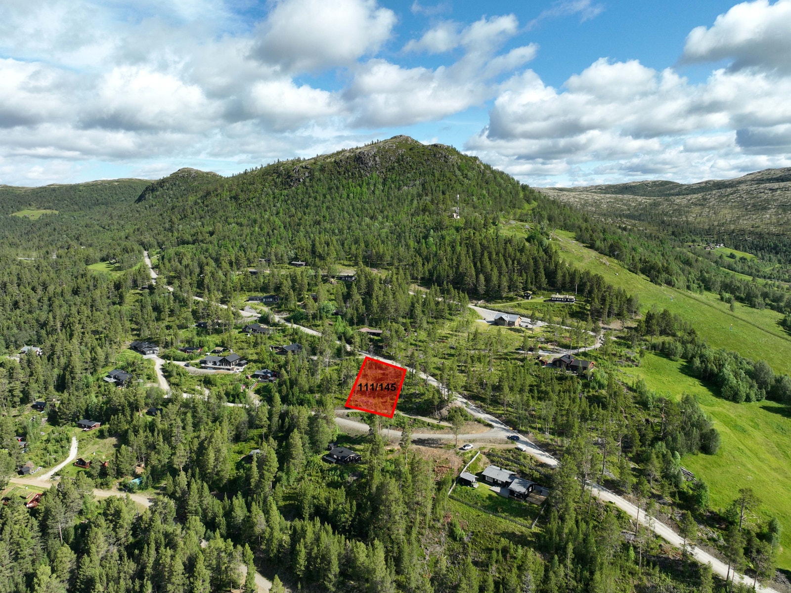 Klettlia på Savalen ved høysommer. Galleribilde