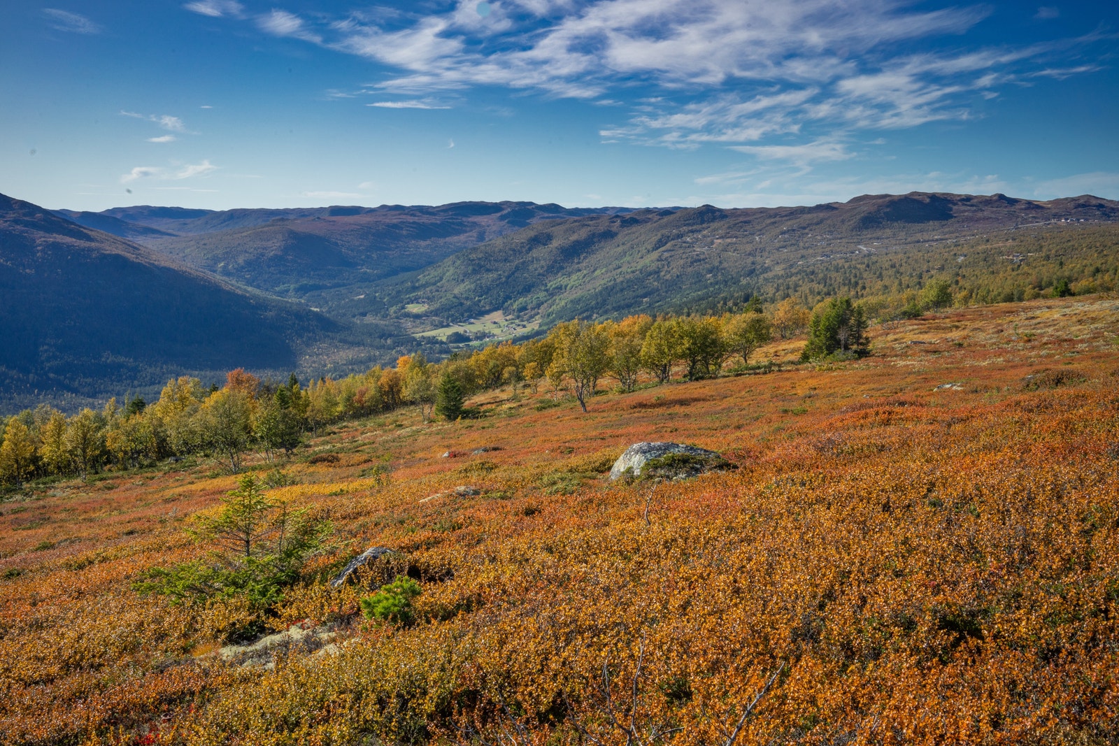 Utsikt mot nord vest fra Fjellsnaret Galleribilde