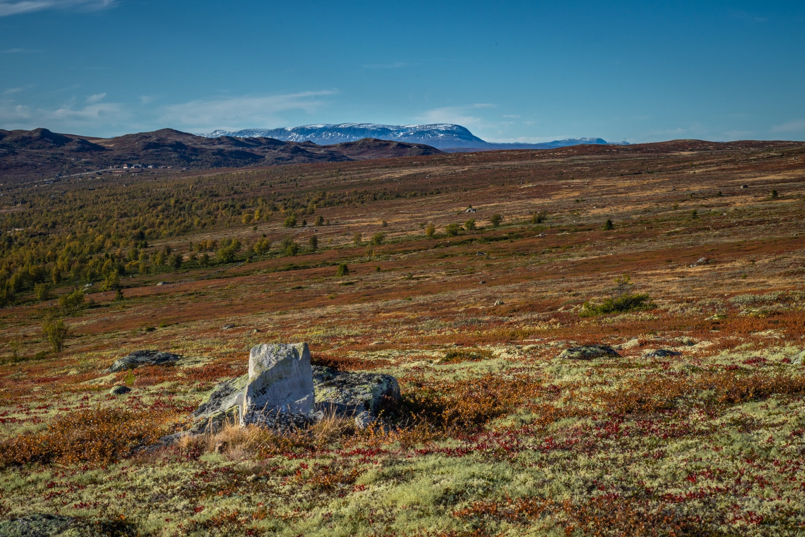 Utsikt mot Dagalifjell og Hallingskarvet fra fjellet ovenfor Fjellsnaret Galleribilde