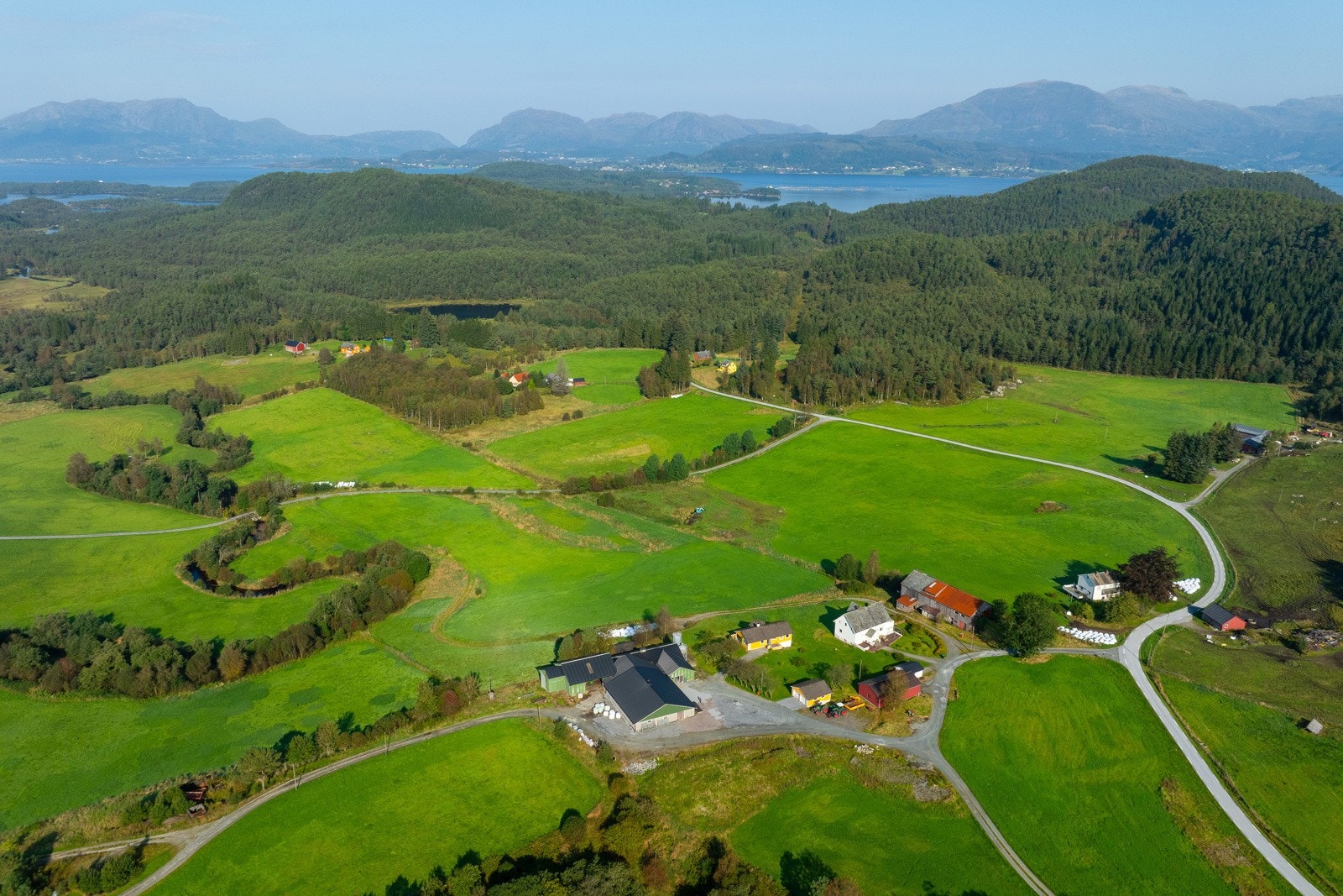 Teig 1 - 5 - Espen Mills Galleribilde