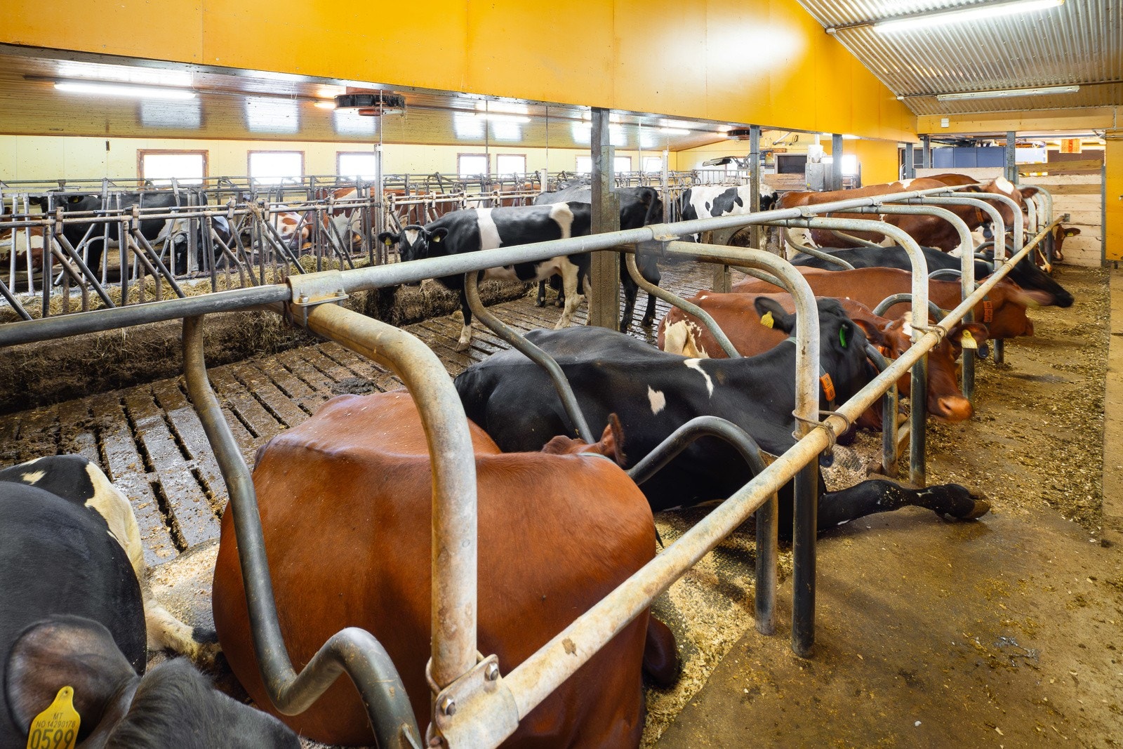 Driftsbygning 1 - 08 - Espen Mills Galleribilde