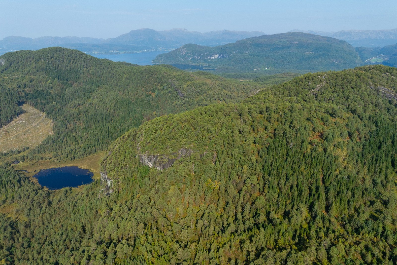 Teig 3 - 3 - Espen Mills Galleribilde