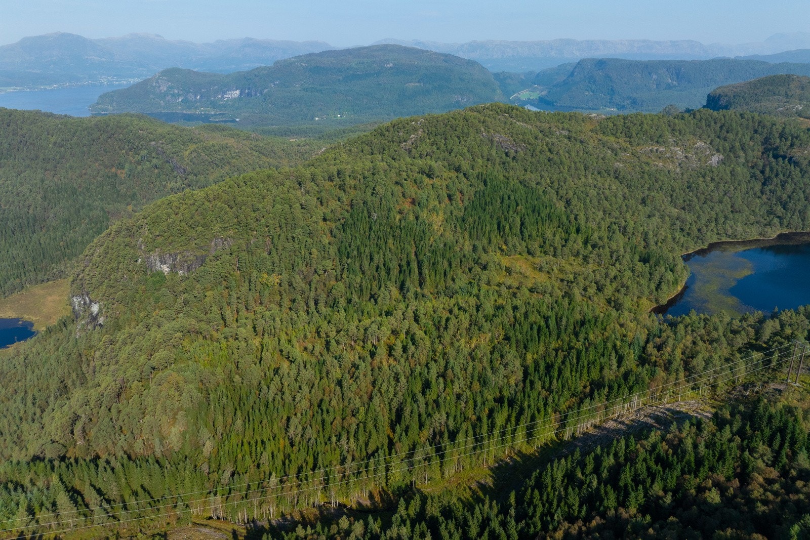 Teig 3 - 1 - Espen Mills Galleribilde