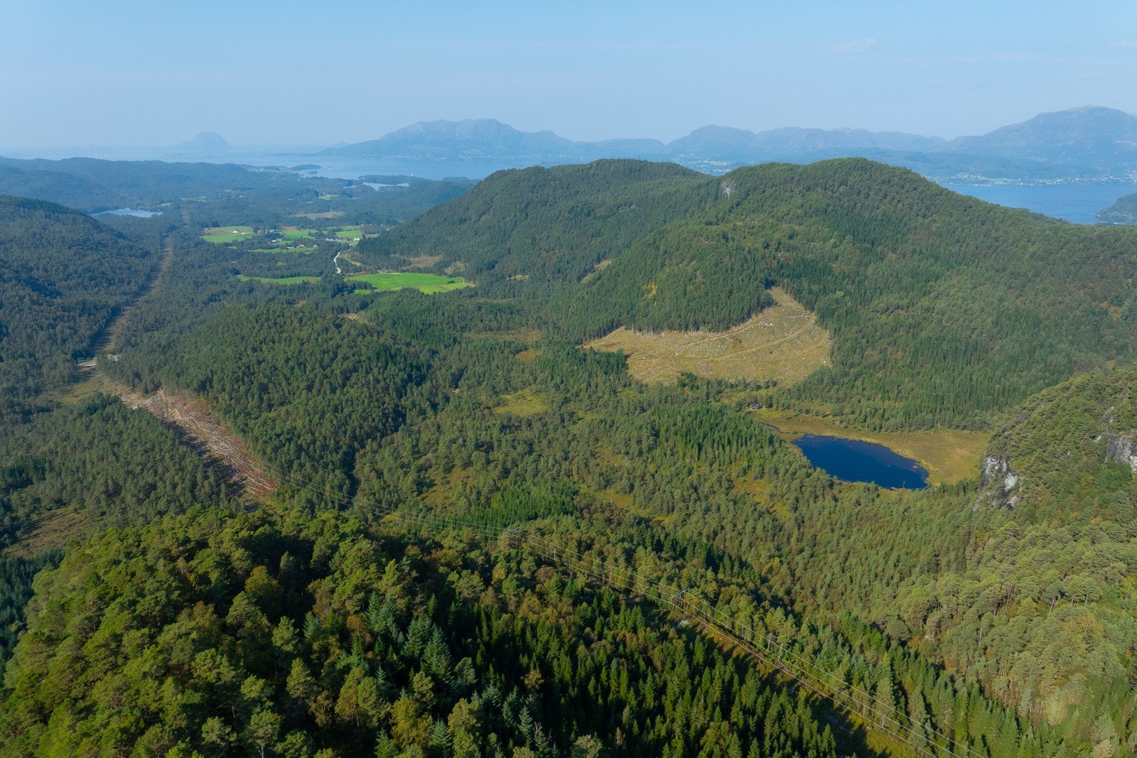 Teig 3 - 2 - Espen Mills Galleribilde