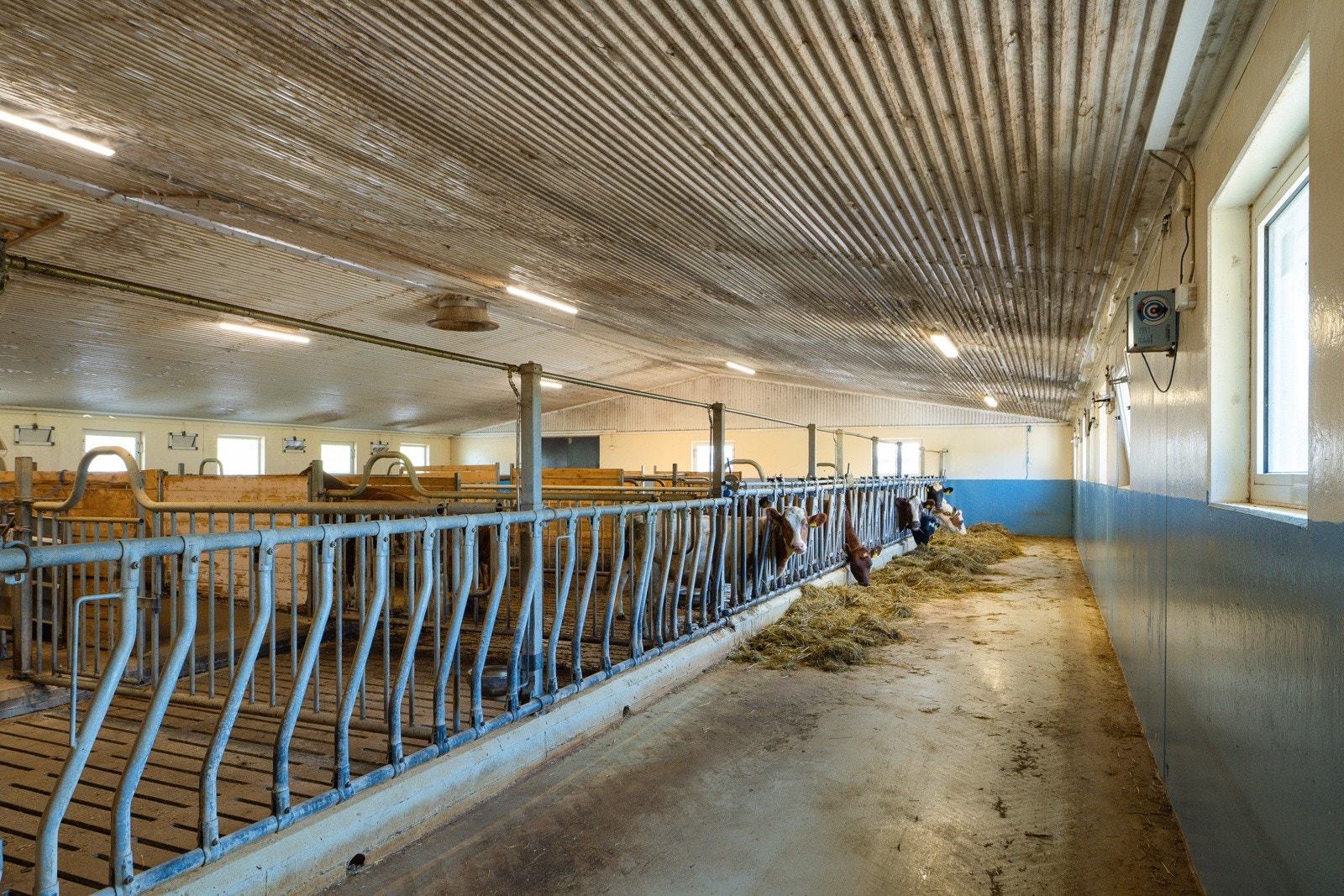 Driftsbygning 1 - 10 - Espen Mills Galleribilde