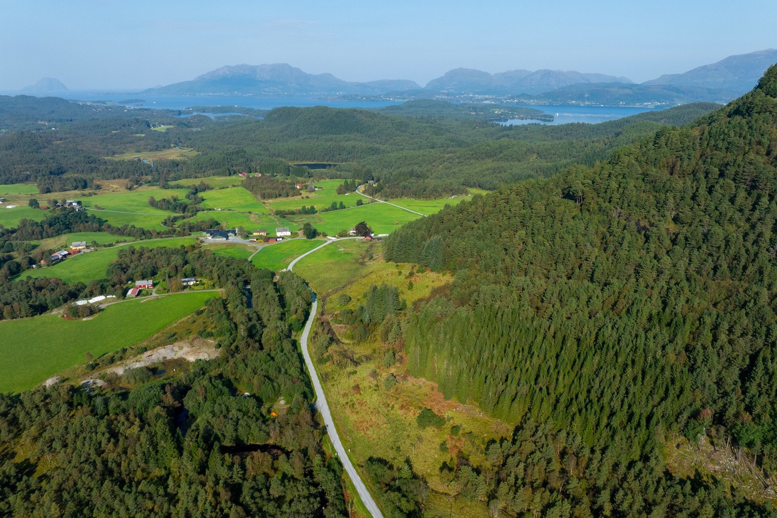 Teig 1 - 6 - Espen Mills Galleribilde