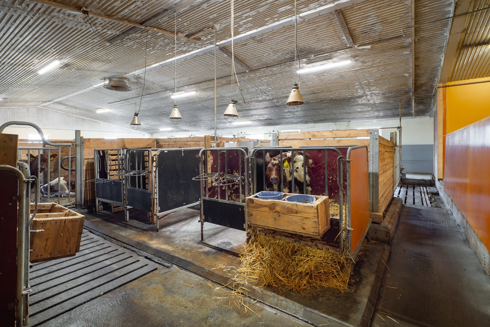 Driftsbygning 1 - 07 - Espen Mills Galleribilde