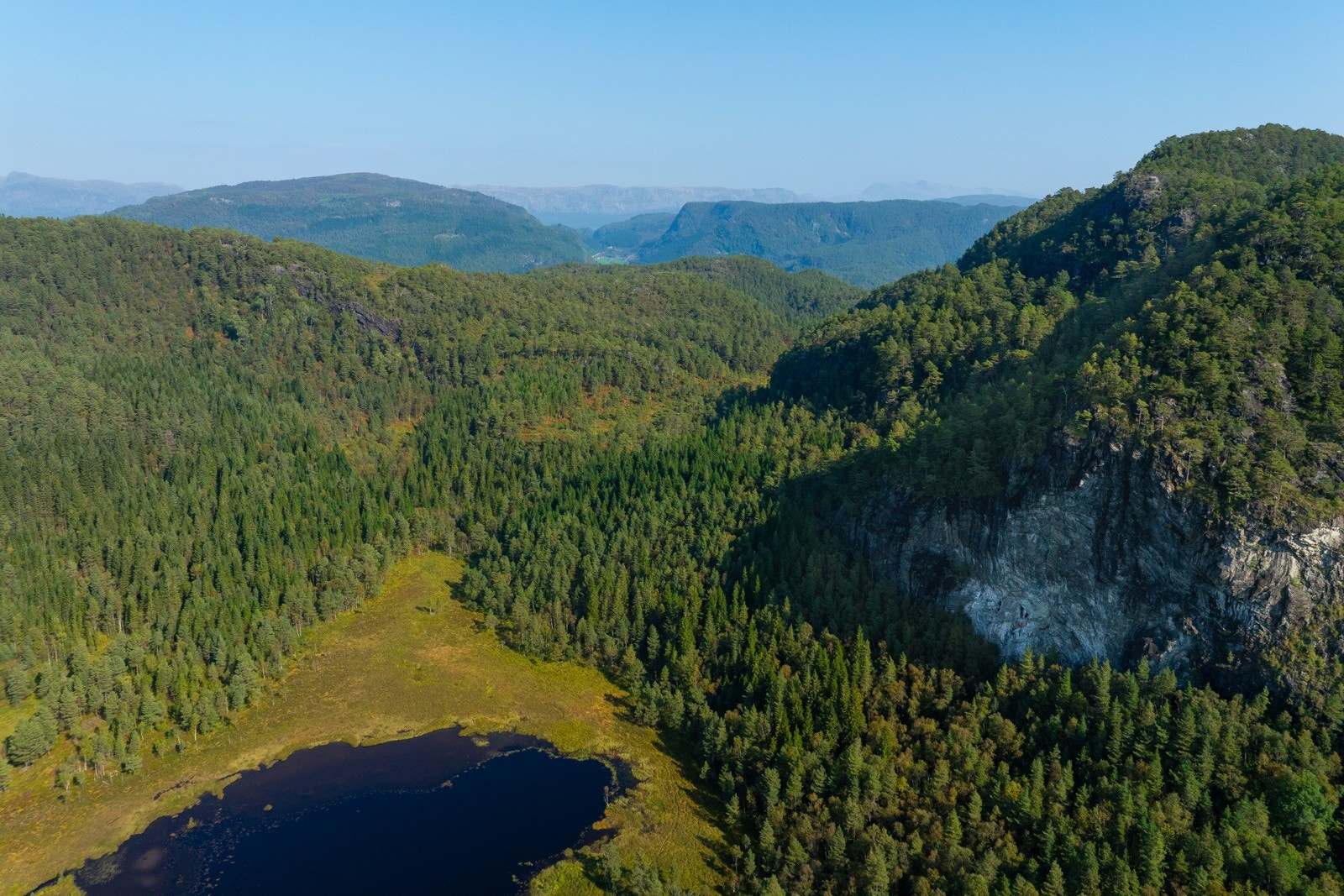 Teig 3 - 5 - Espen Mills Galleribilde