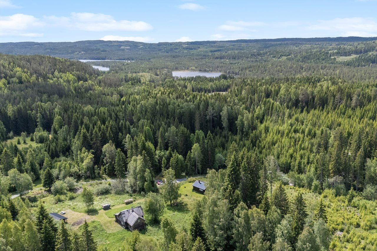 Tomten er opparbeidet med naturtomt, produktiv skog og noe fulldyra mark. Galleribilde