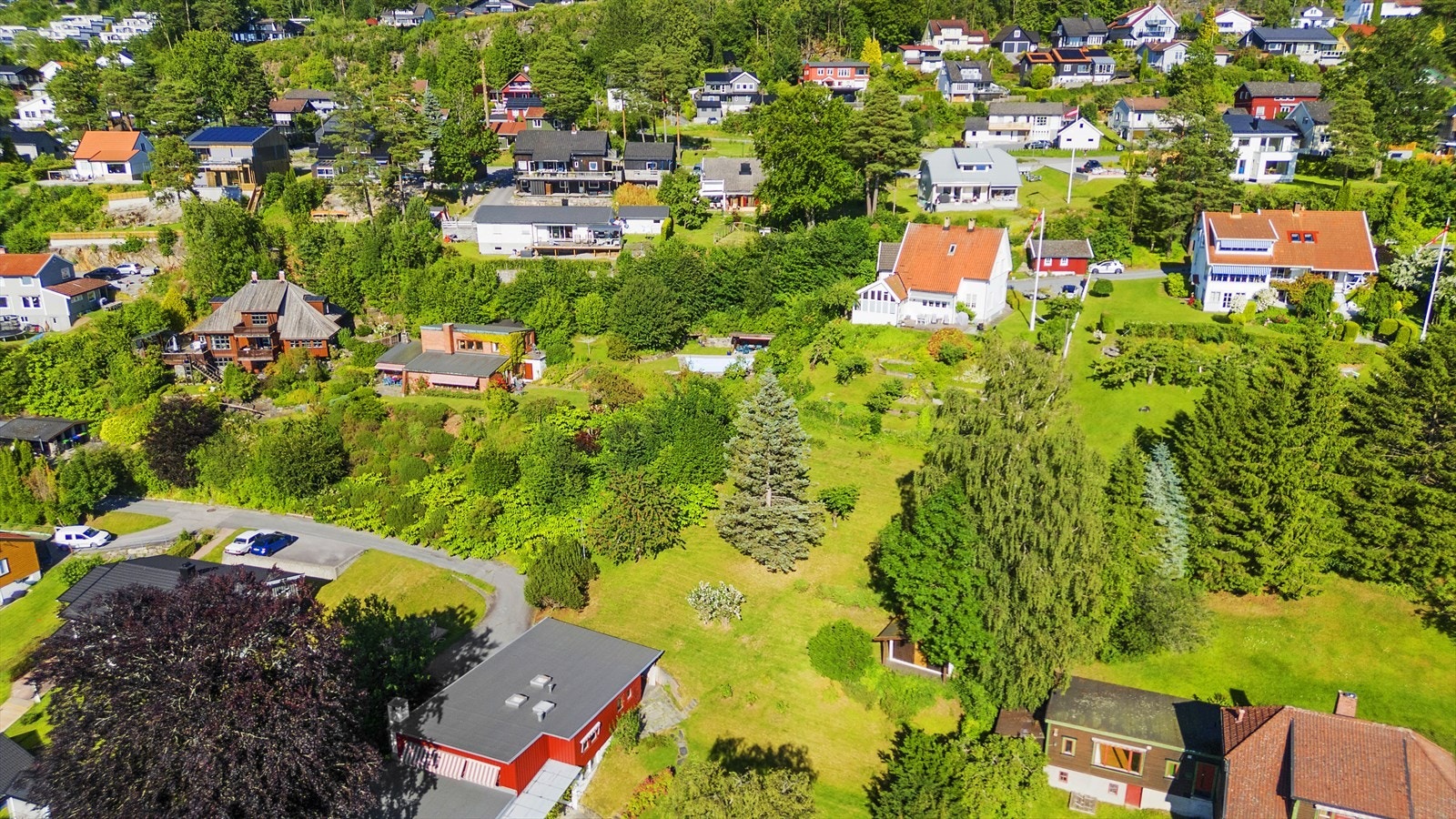 Det er flotte turområder rett utenfor døren i Borgemarka og Kjølnesområdet Galleribilde