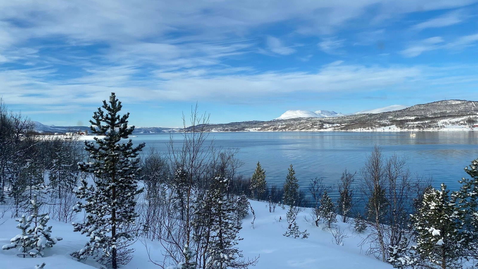 Privat bilde. Galleribilde