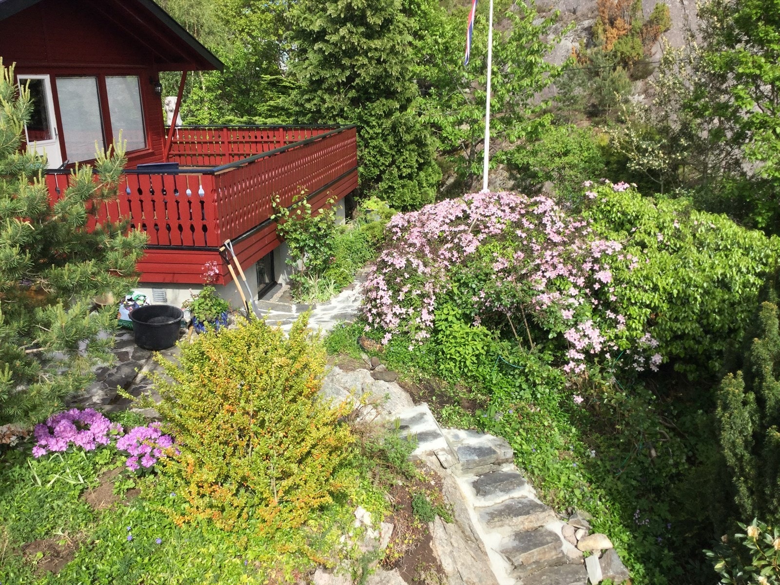 Tomten er opparbeidet med flotte bed Galleribilde