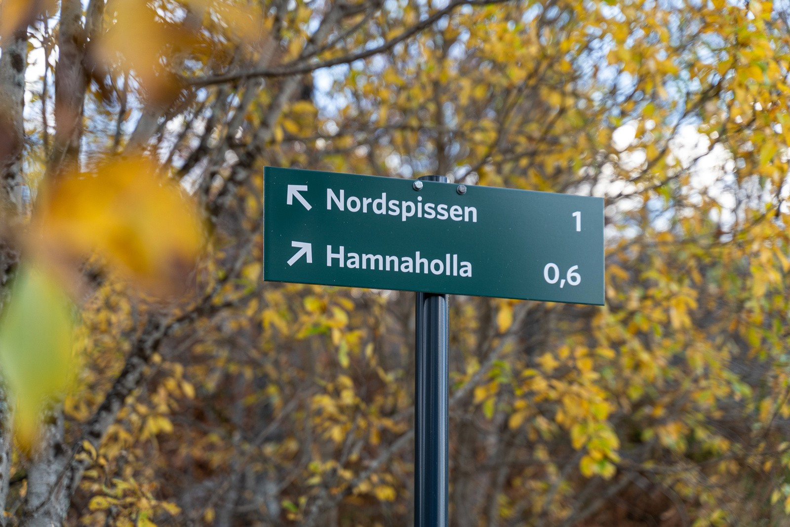 Kort vei til flotte turområder som lysløypa.