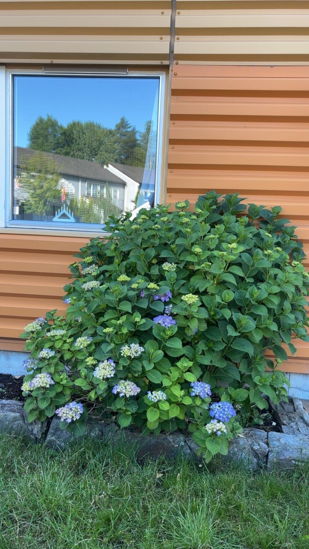 Selger bilde. Galleribilde