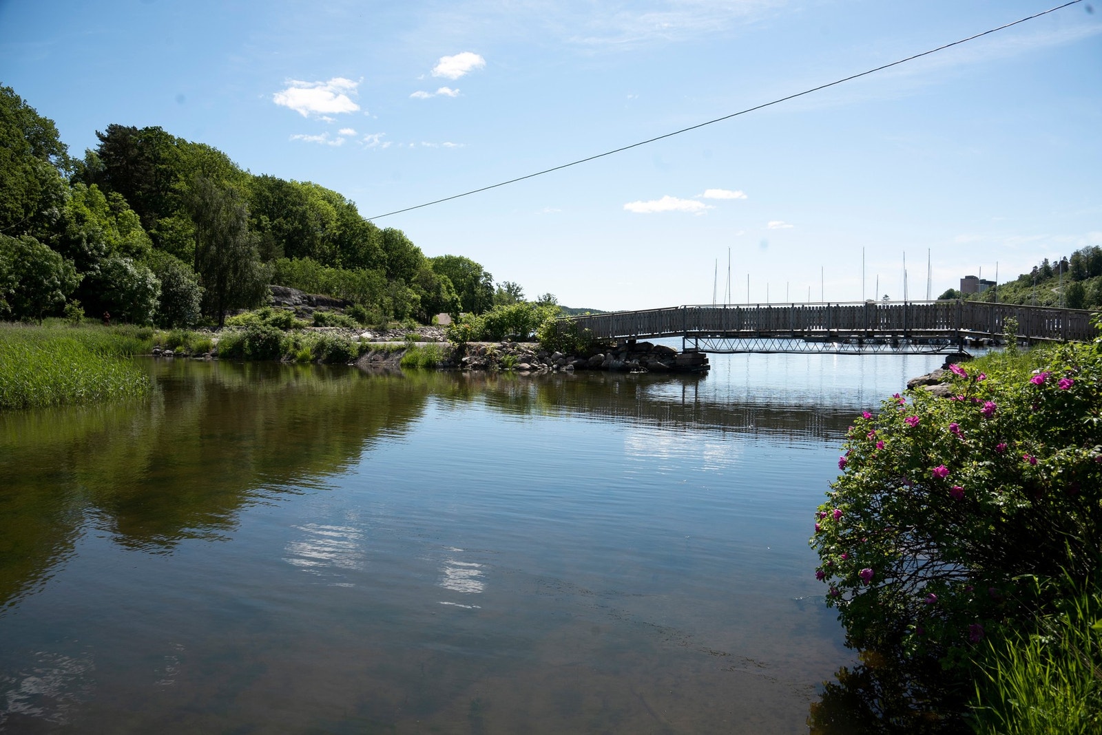 Melsomvik byr på sørlandsidyll Galleribilde