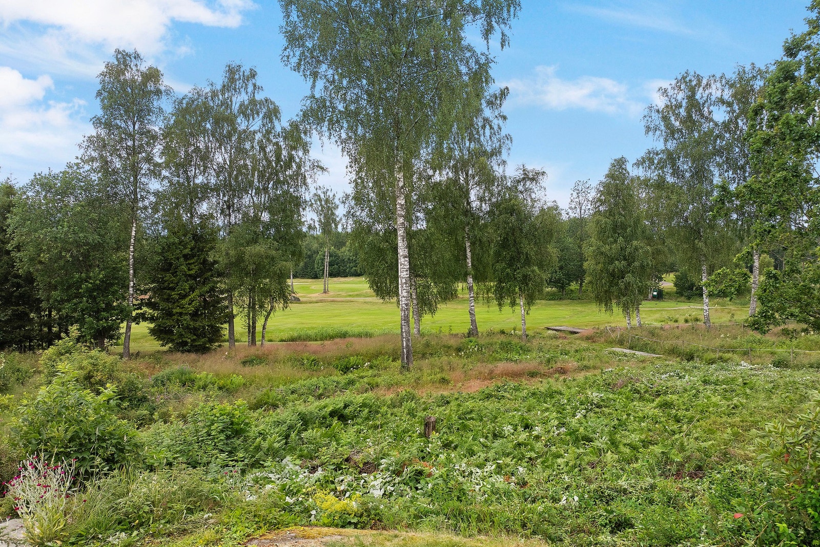 Et fritt, fredelig og landlig utsyn gir en rolig atmosfære og en følelse av å være nær naturen Galleribilde