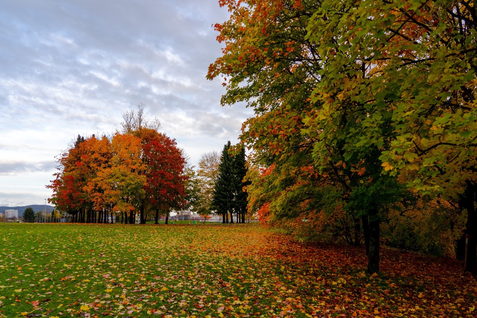 Nærområde Galleribilde