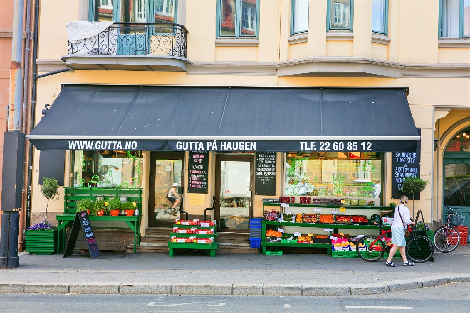 Nærområdet. Galleribilde