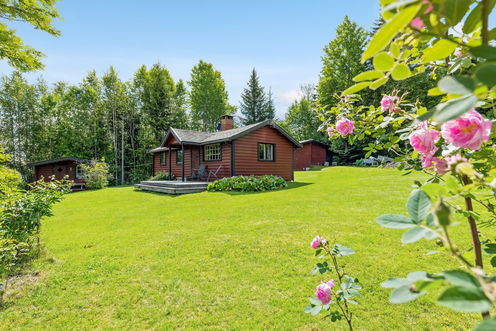 Velkommen til Gravbergsvegen 323! Galleribilde