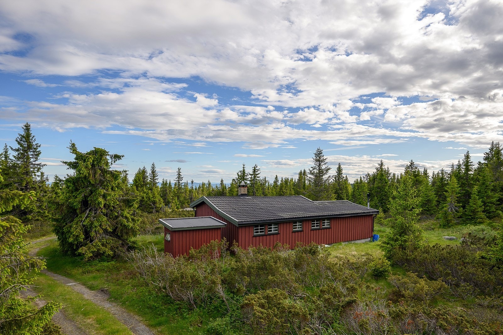 Nordseter byr på naturlige og vakre omgivelser. Galleribilde