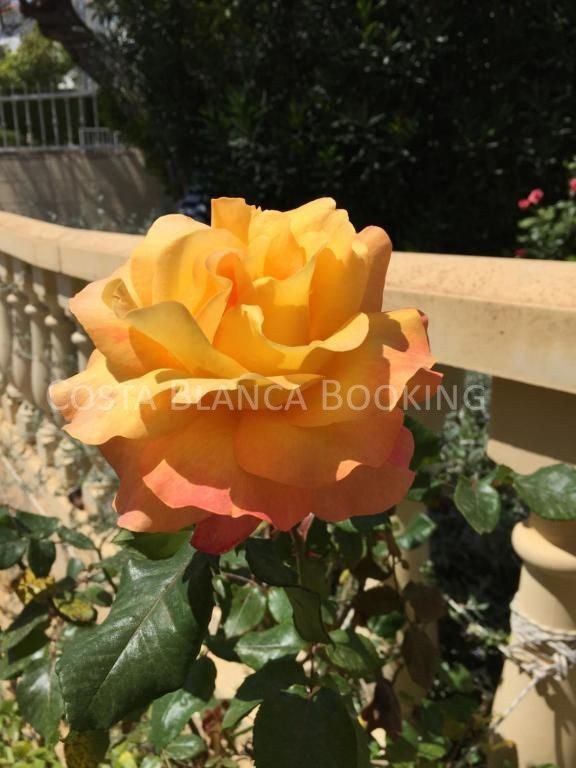 Sjarmerende bolig i to etasjer på Panorama, La Nucia Galleribilde