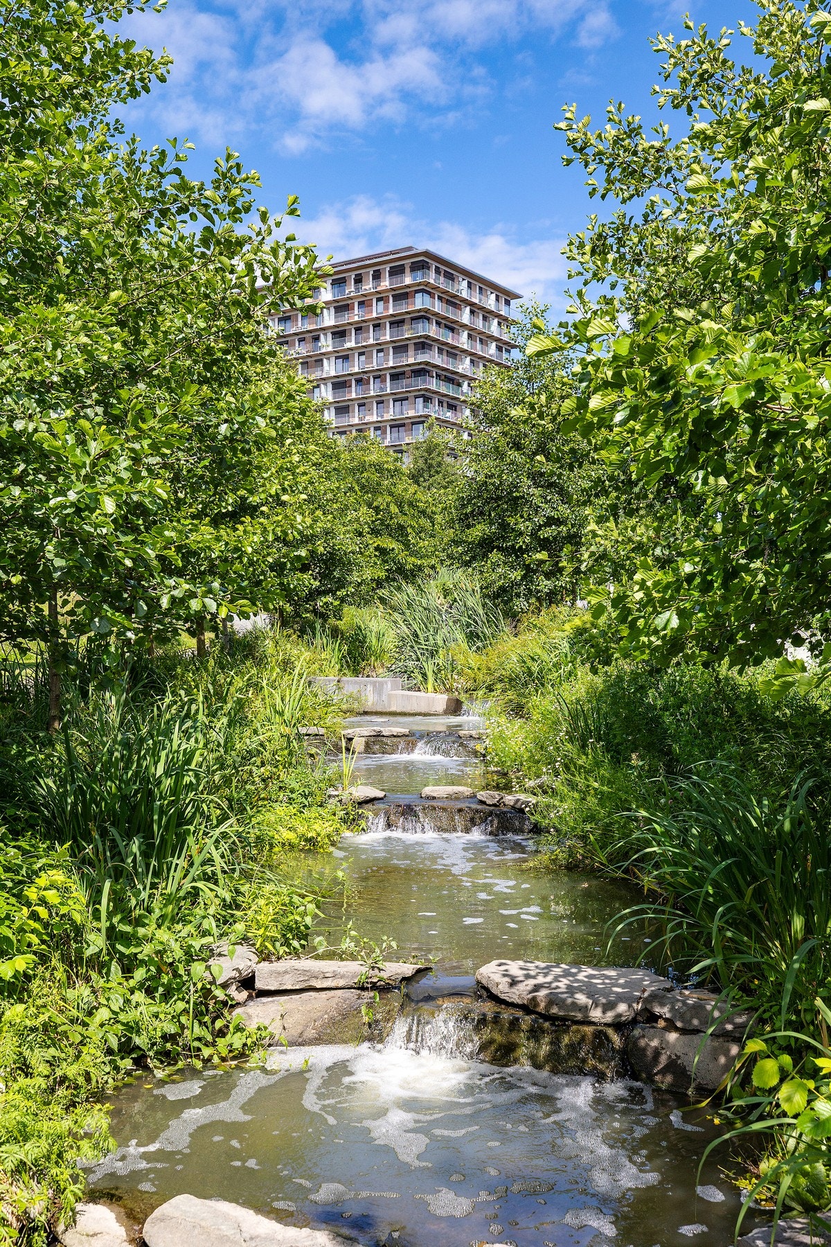 Nydelig parkområder Galleribilde