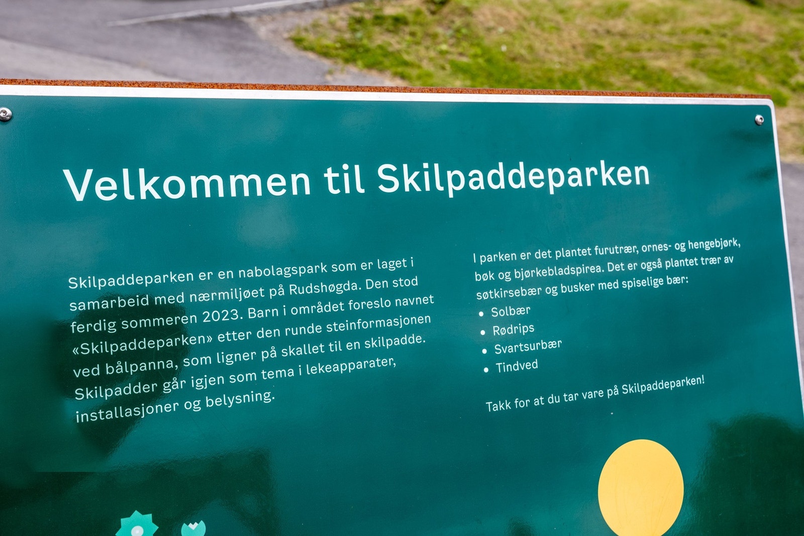 Nærområde. Galleribilde