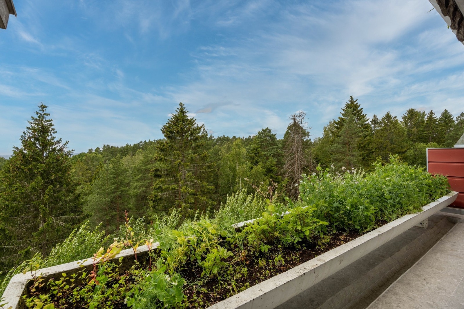 Denne utsikten går du ikke lei! Galleribilde