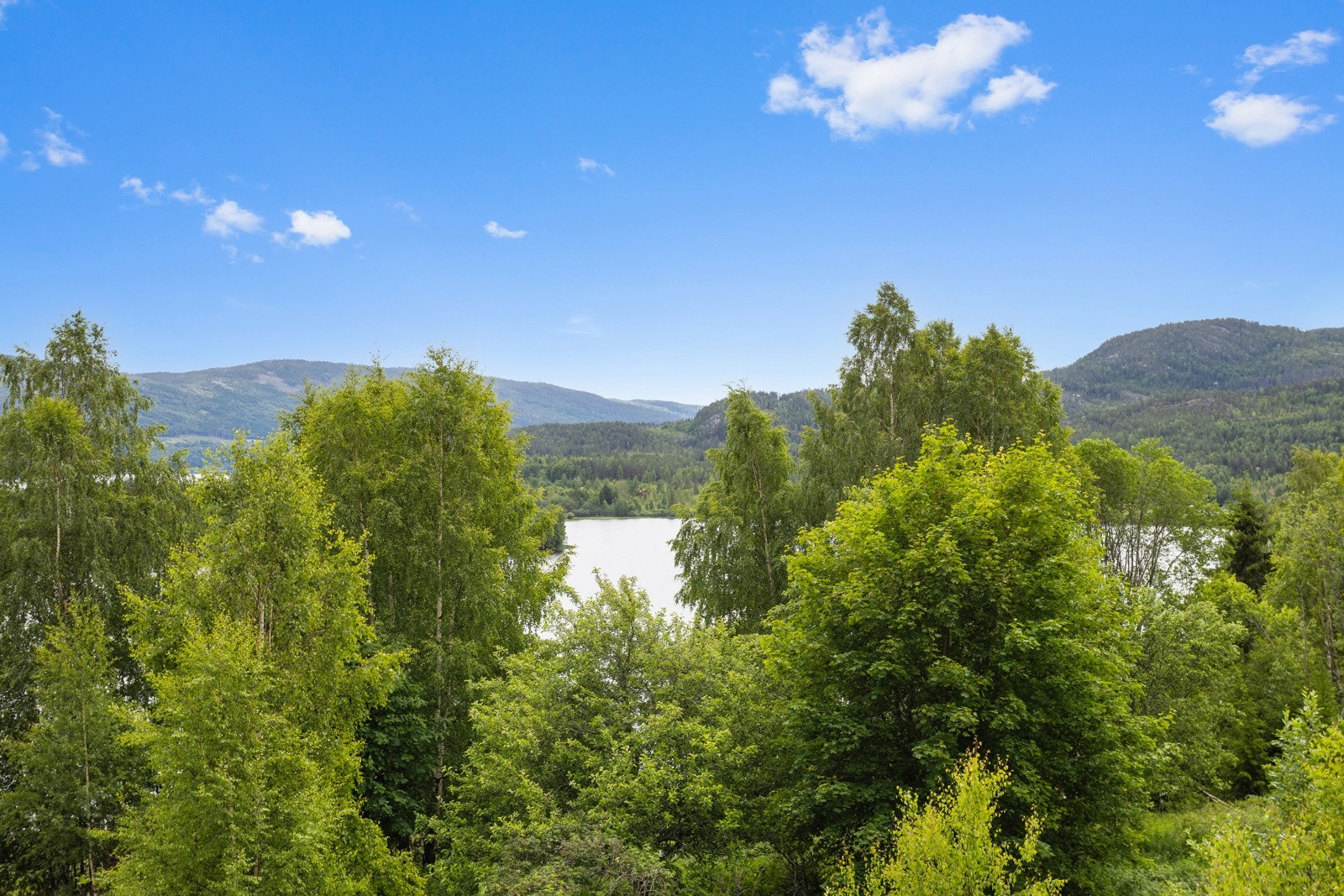 Fine utsiktsforhold mot Gulsviktjern. Galleribilde