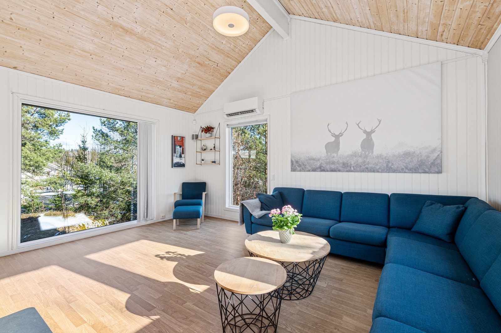 Vinduer helt ned til gulv og stor takhøyde. Varmepumpe for rimeligere og effektiv varme Galleribilde