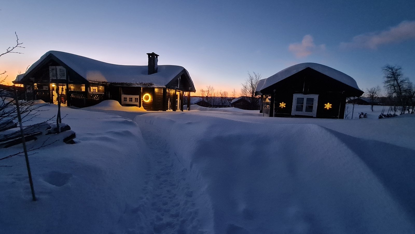 Selgers foto Galleribilde