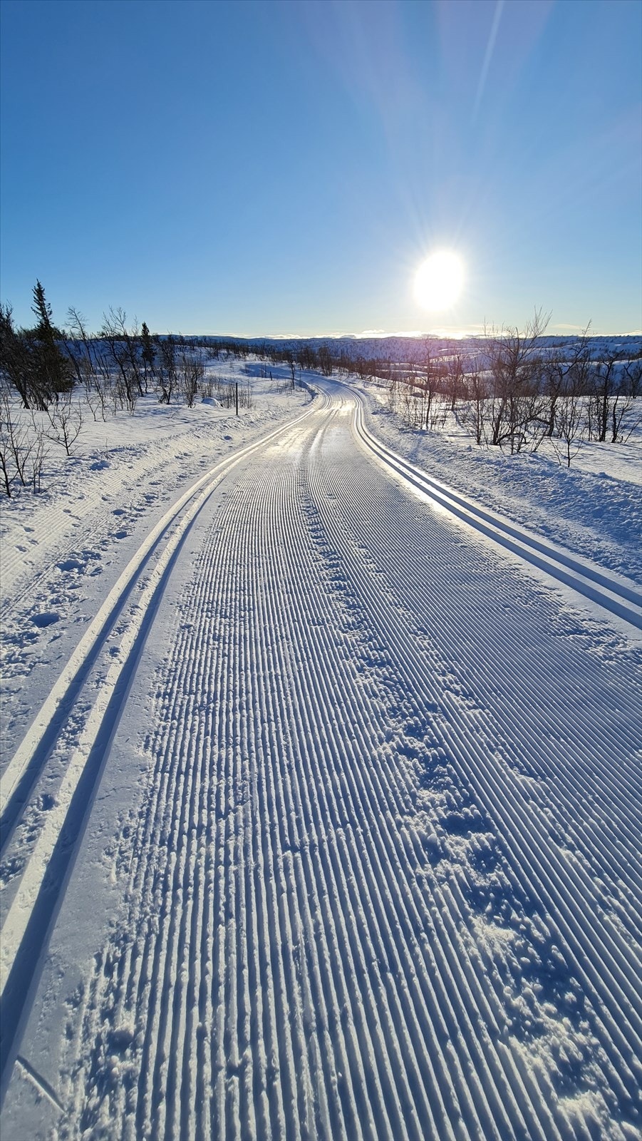 Selgers foto Galleribilde