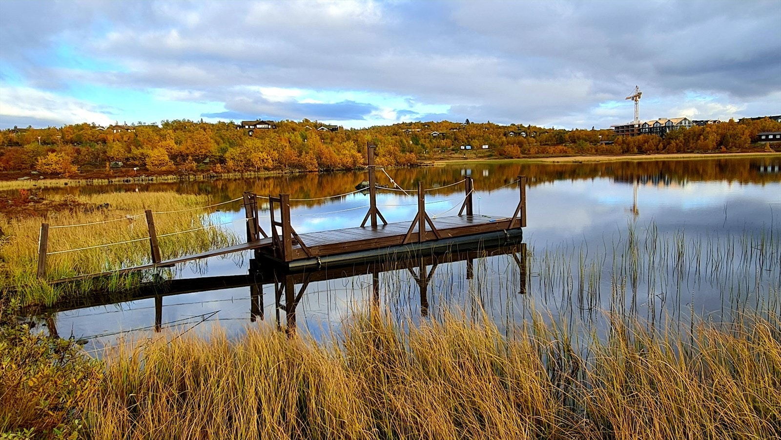 Selgers foto Galleribilde