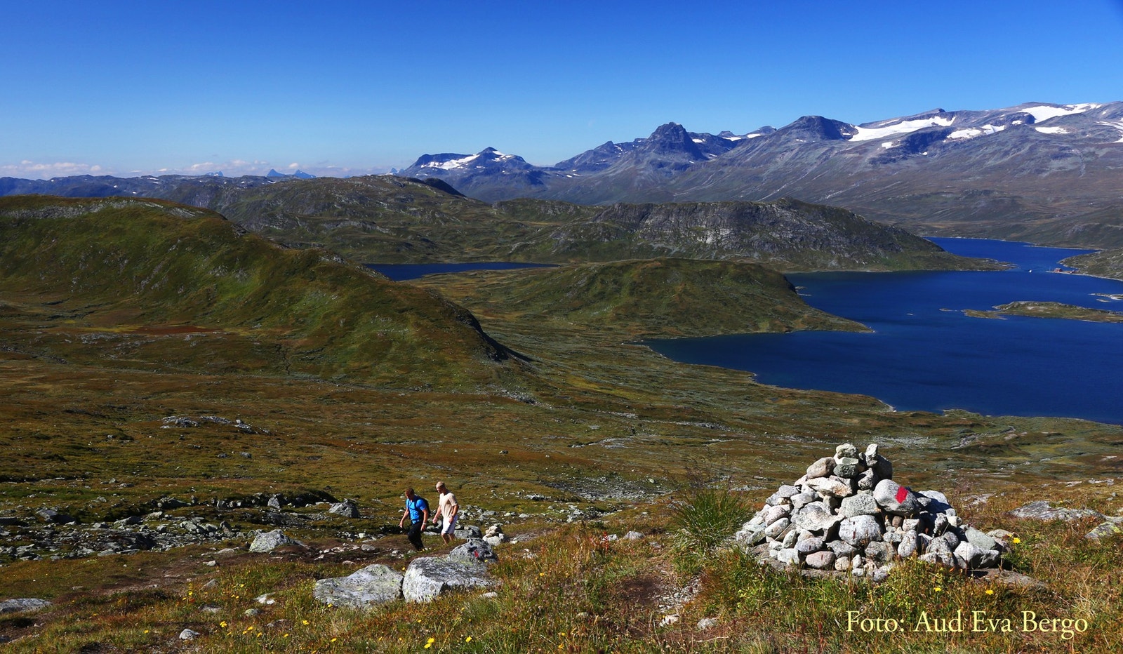 Områdebilde. Utsikt fra Bitihorn Galleribilde