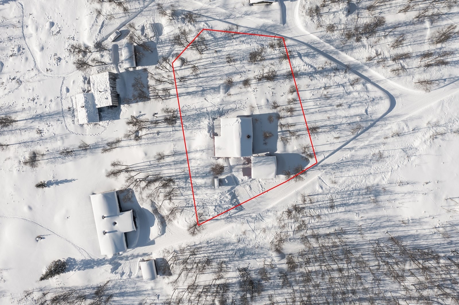 Oversiktsbilde av eiendommen og tomt. Galleribilde