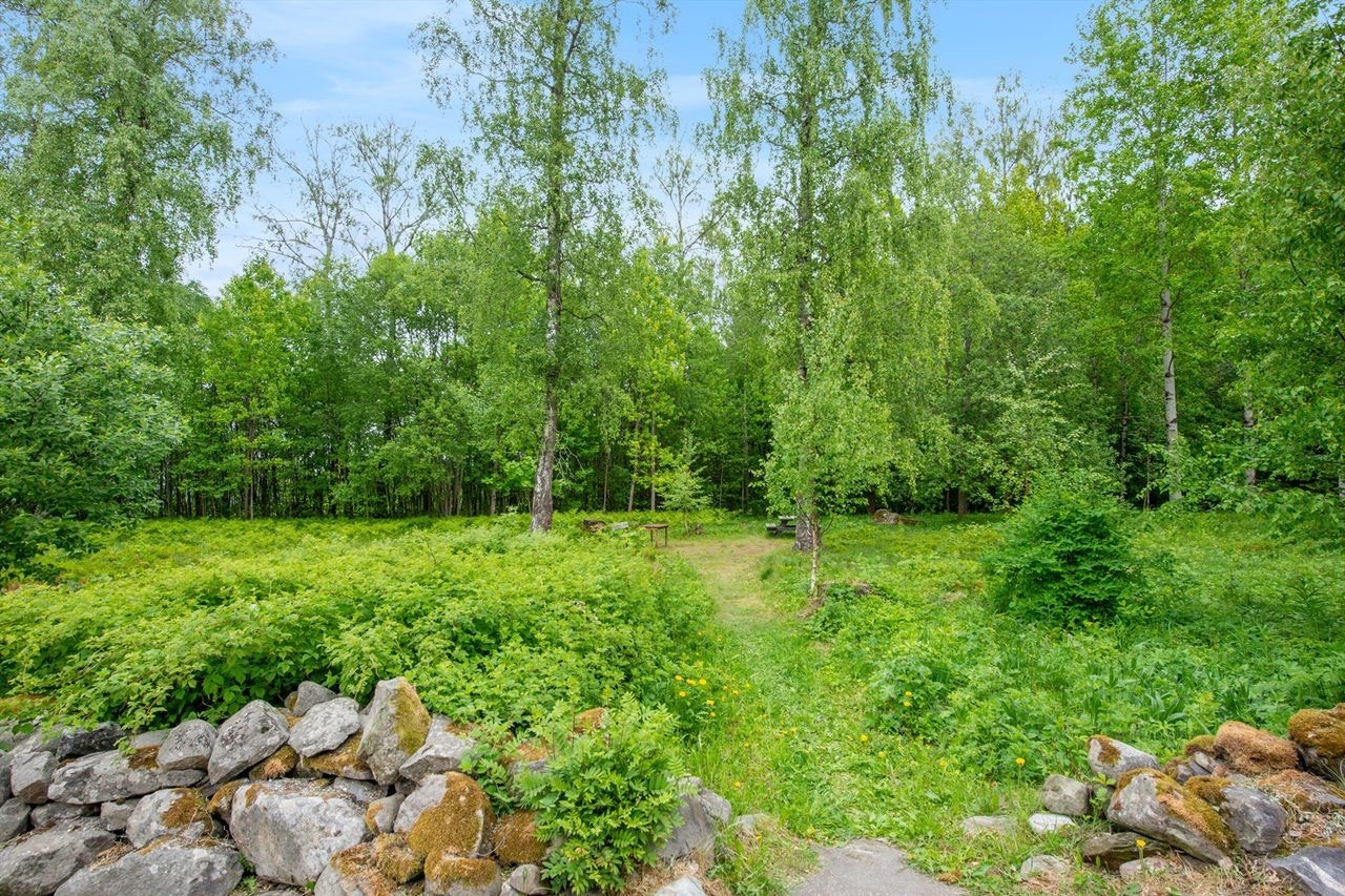 Området har gode rekreasjonsmuligheter, med kort vei til det idylliske skogområdet Børstadlunna Galleribilde